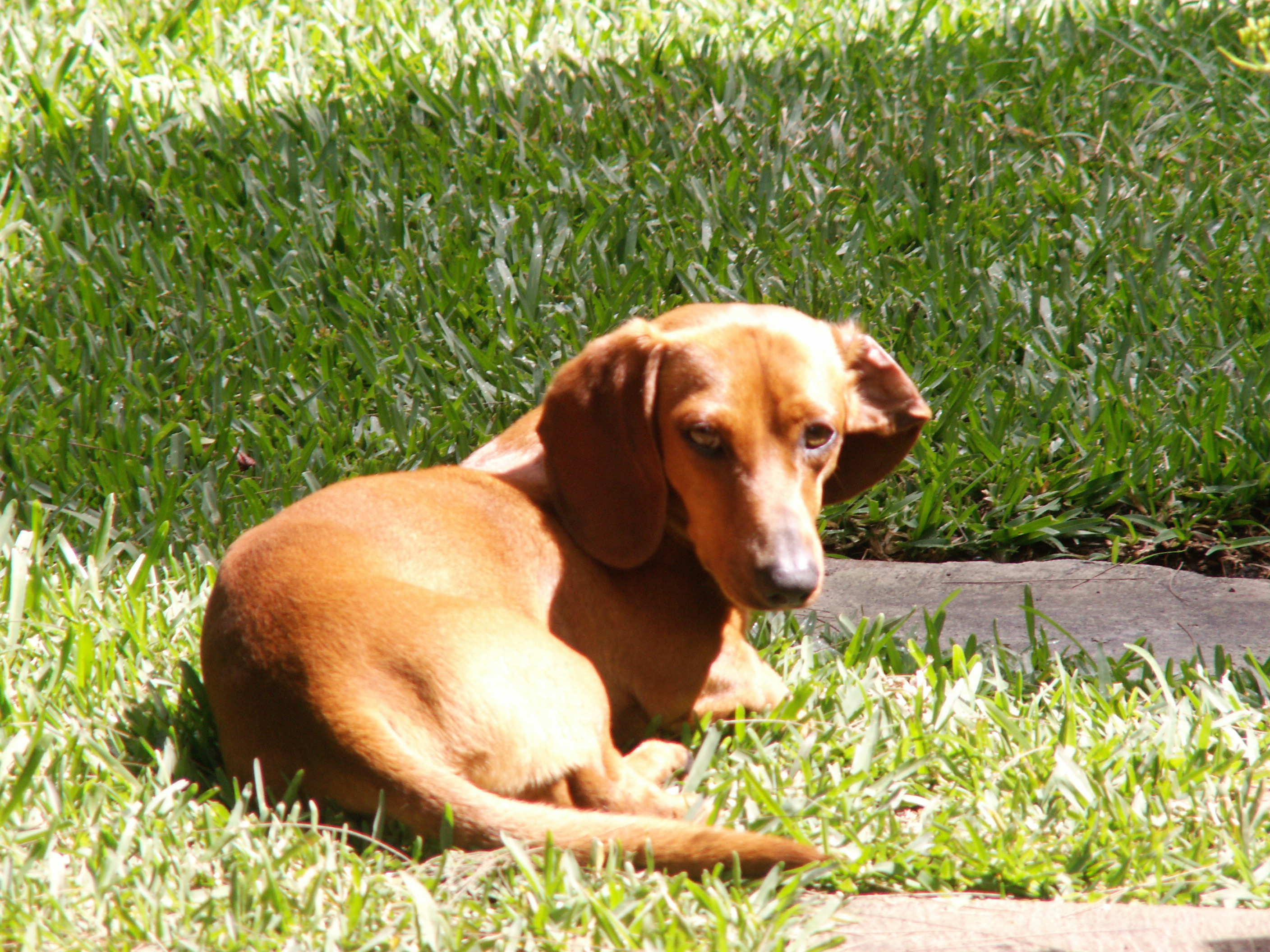 Linux....my good boy