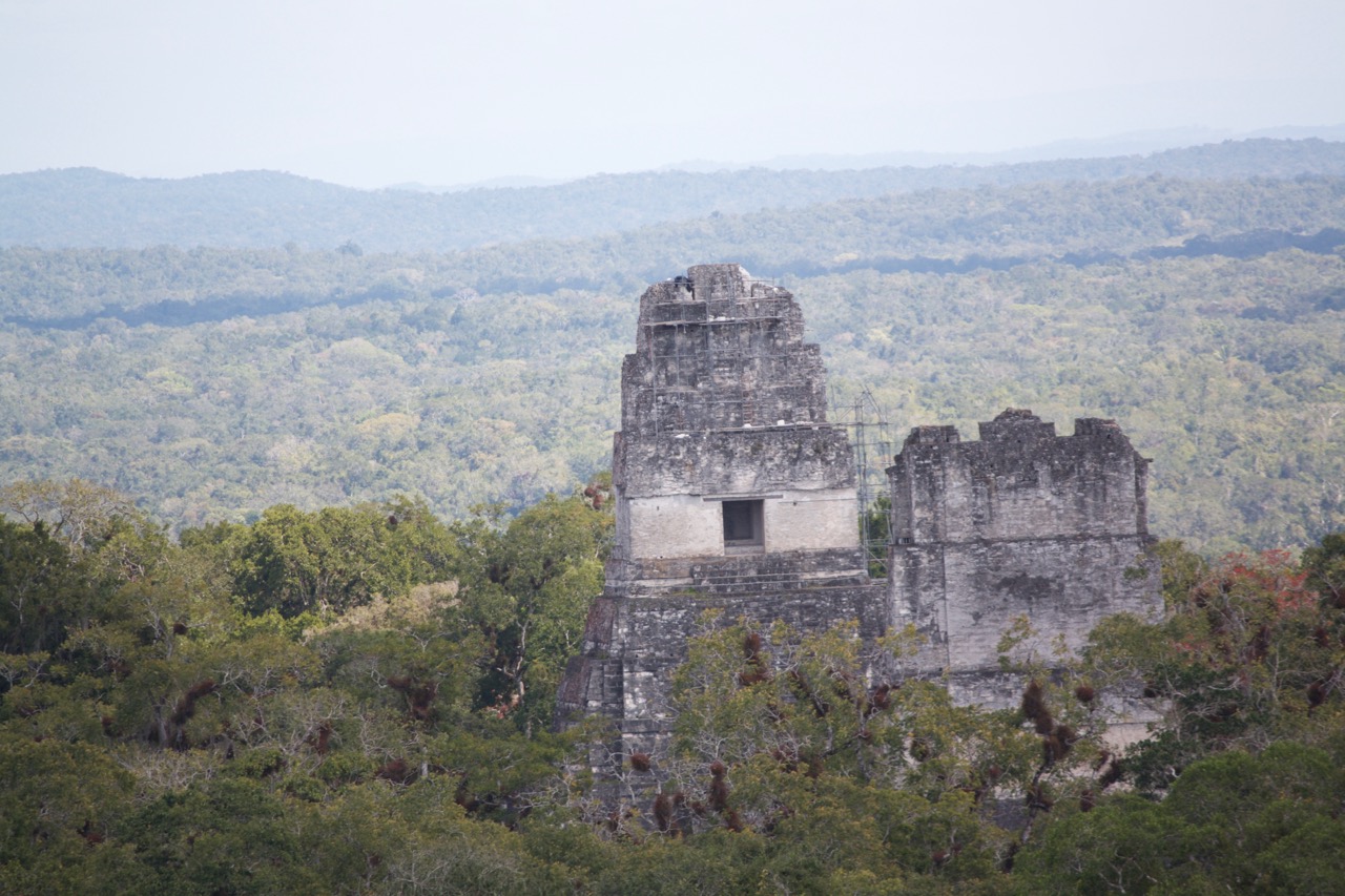 Verde, que te quiero verde