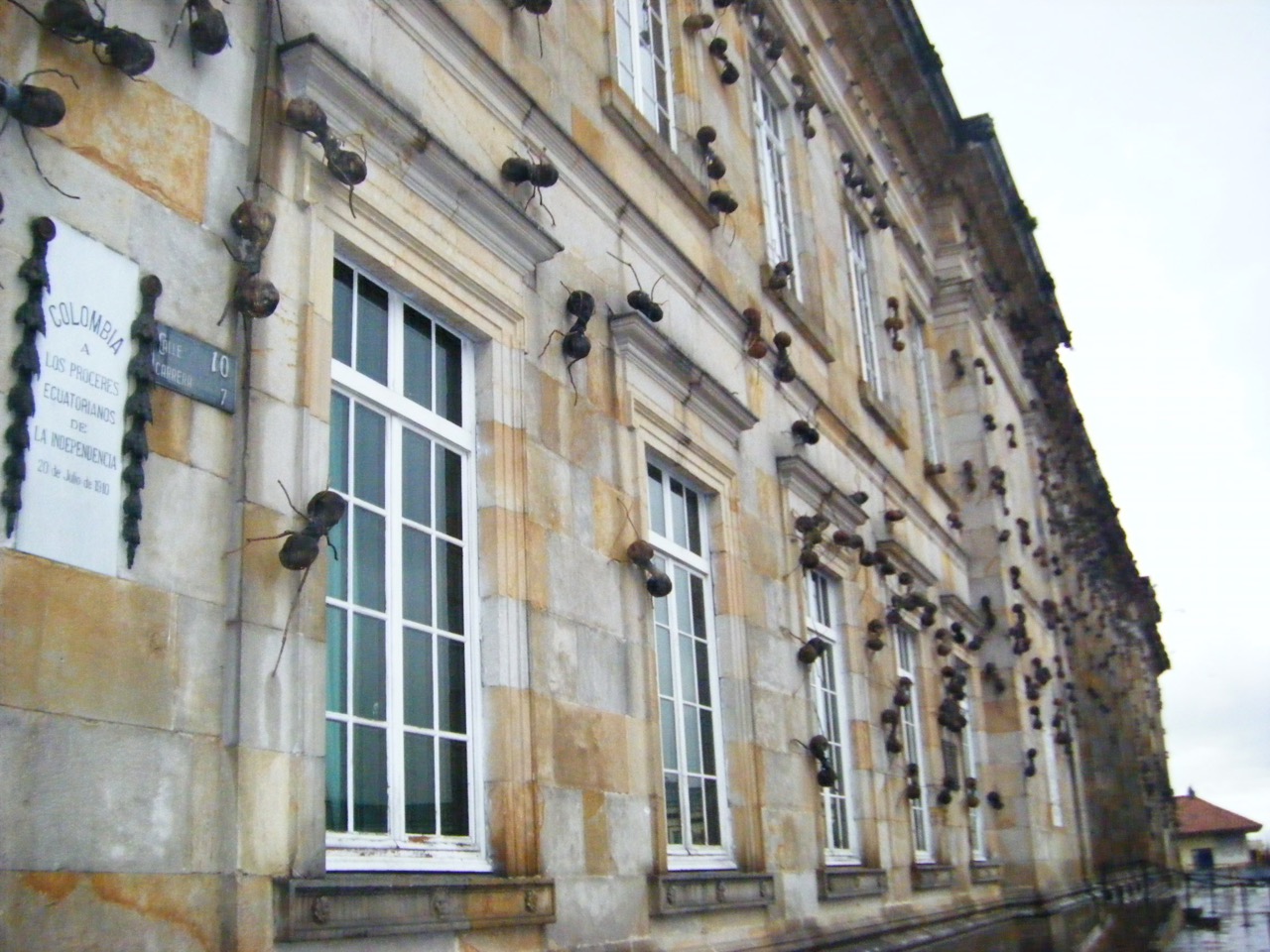 Ataque de las hormigas en Bogotá