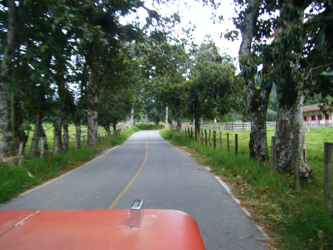 Cocora, a bordo de un Willis