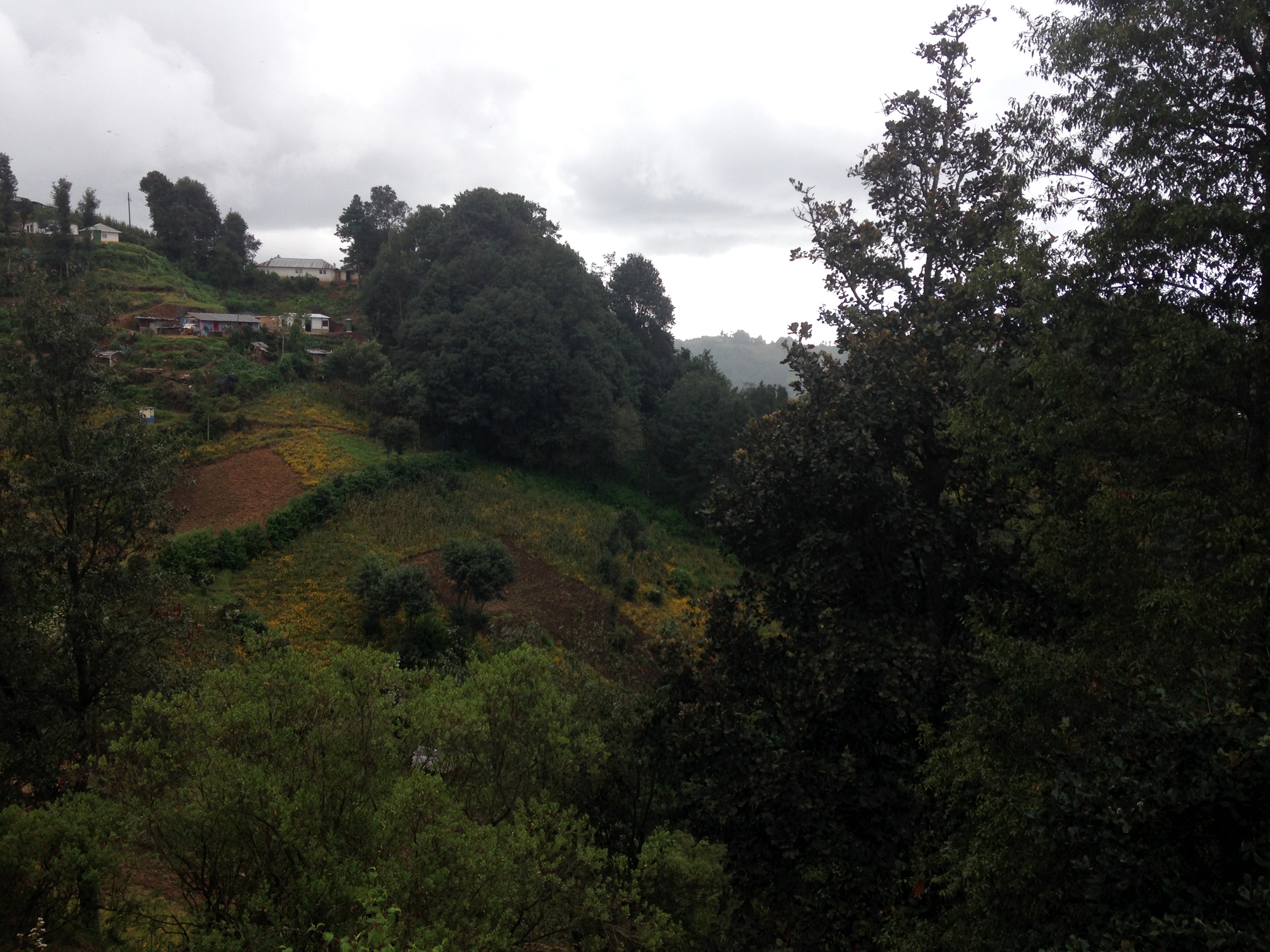 San Marcos & Quetzaltenango