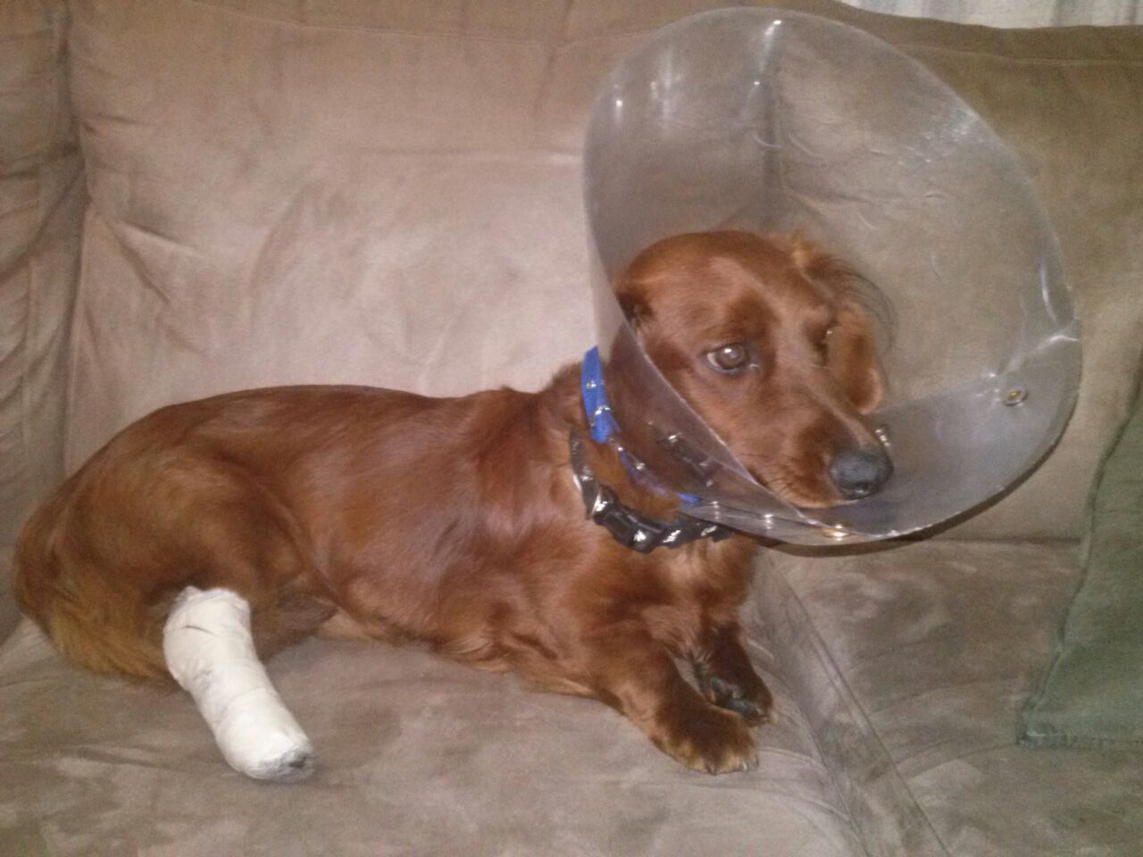 Quijote quiso volar....