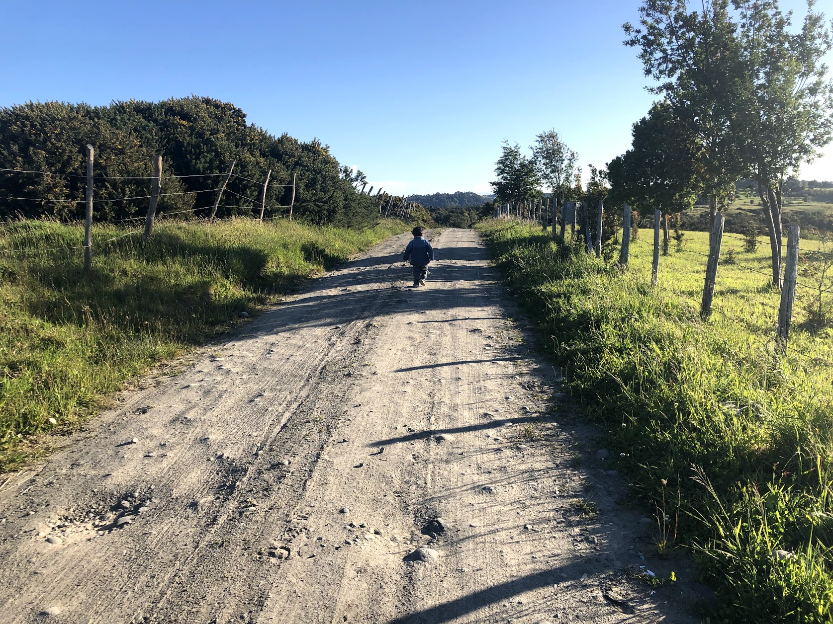 Caminante No Hay Camino