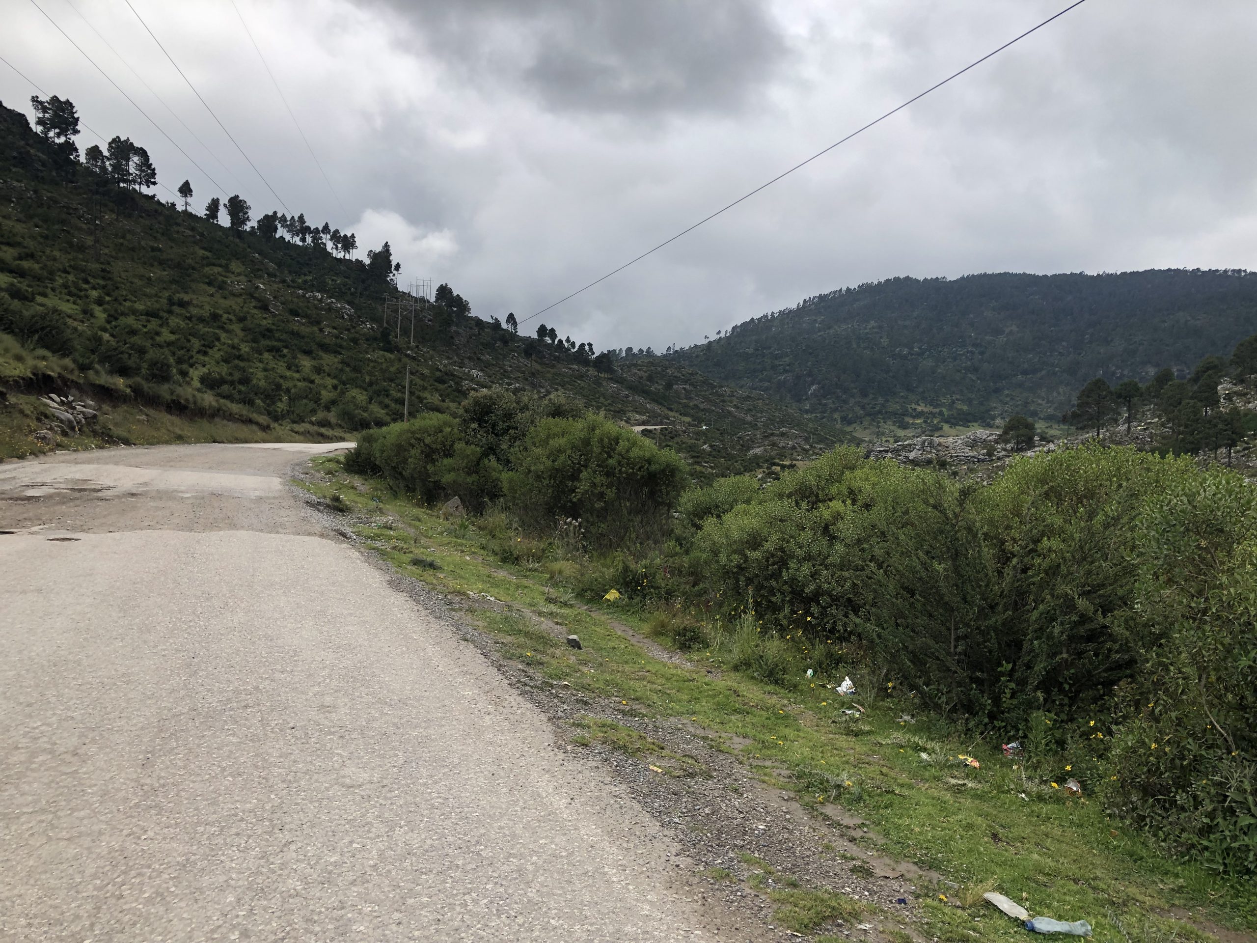 Caminos, siempre caminos