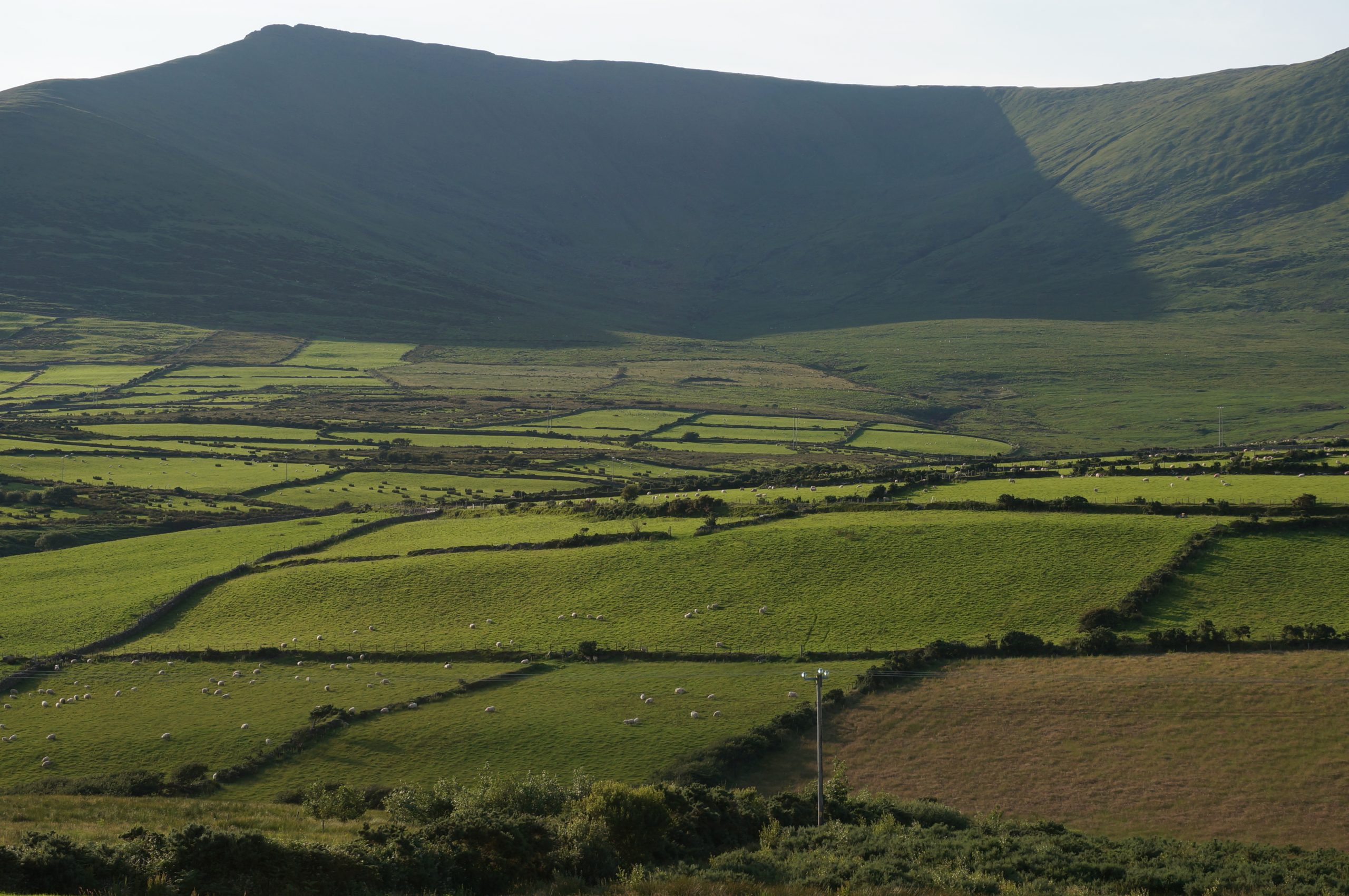 Juego de sombras llegando a Dingle