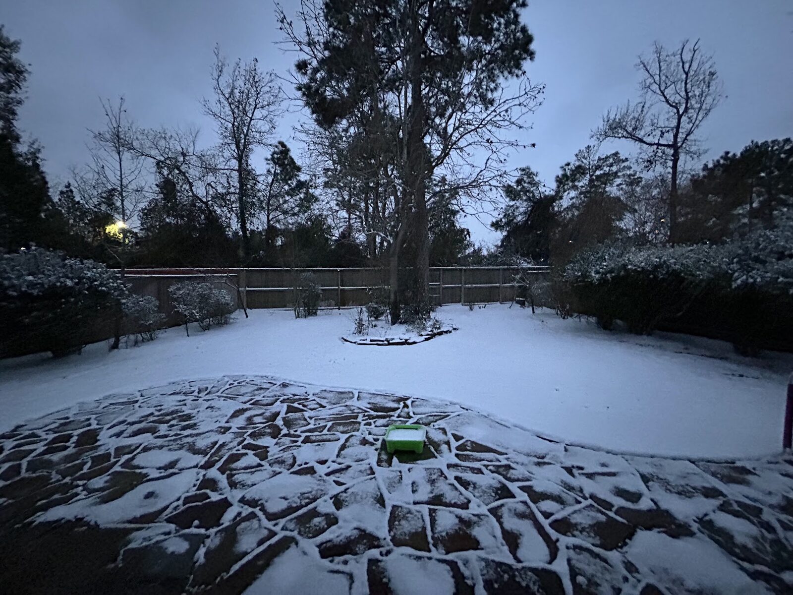 Snow-covered backyard in Texas at dawn
